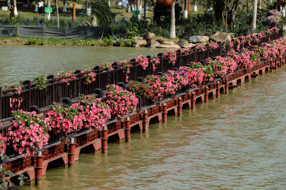 Lạc bước vào “thung lũng hoa” đẹp ngỡ ngàng ngay gần Hà Nội - 7 Lạc bước vào “thung lũng hoa” đẹp ngỡ ngàng ngay gần Hà Nội - 7