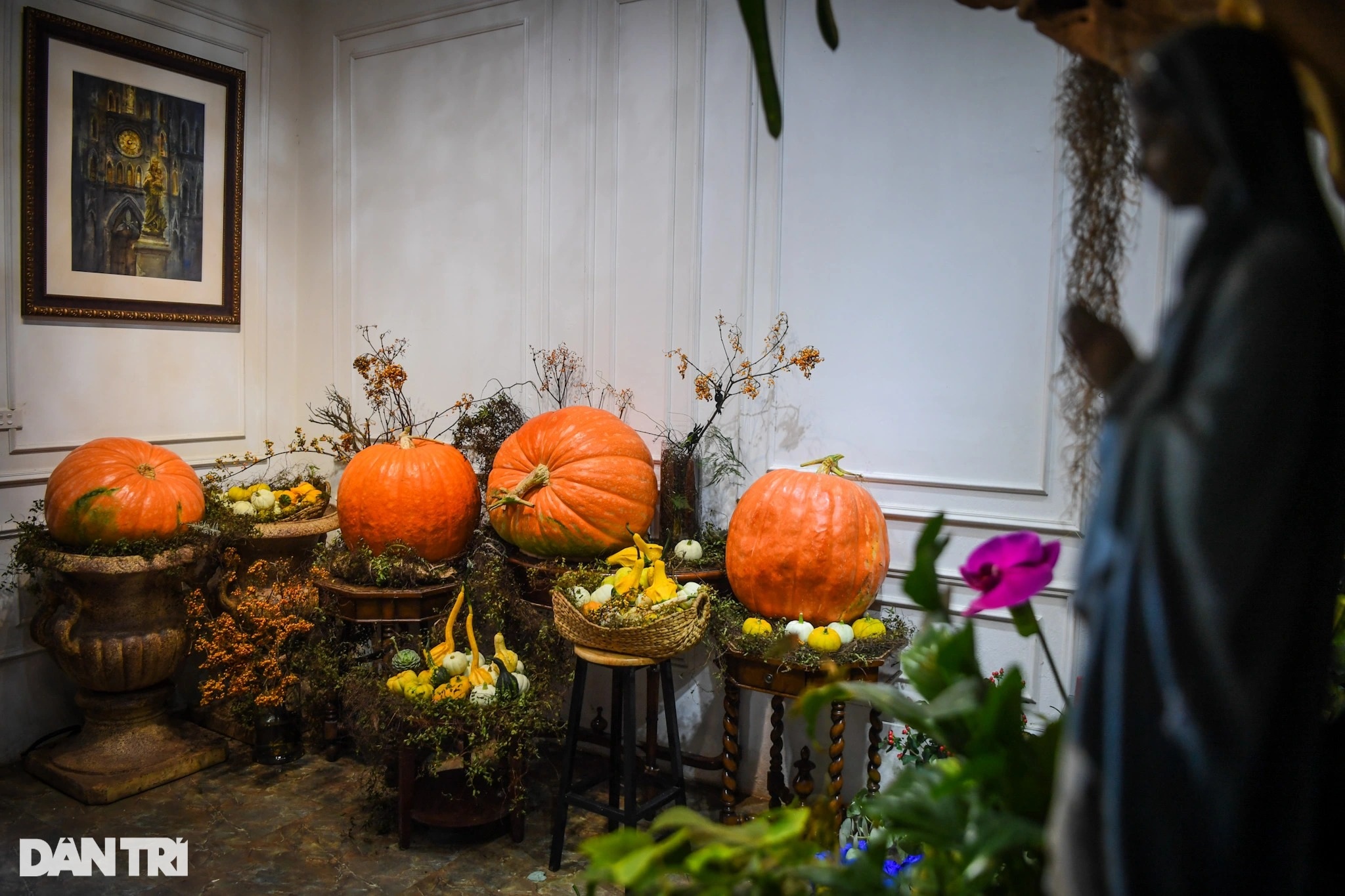 Người Hà Nội chi hàng chục triệu đồng sắm bí ngô khổng lồ chơi Halloween - 1 Người Hà Nội chi hàng chục triệu đồng sắm bí ngô khổng lồ chơi Halloween - 1