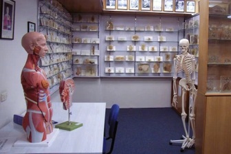 Bí mật lấy bộ phận cơ thể người để "tặng" cho bảo tàng gây rúng động