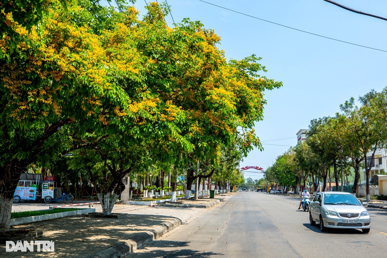 Bộ Công an yêu cầu Quảng Nam cung cấp tài liệu dự án trồng cây xanh - 1