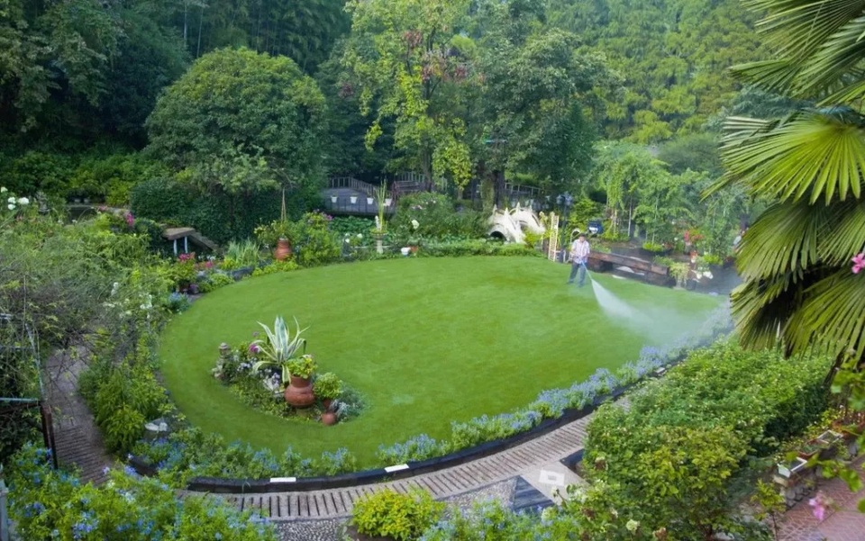 Cụ ông 70 tuổi biến đất toàn cỏ dại thành vườn 5000m2 đẹp như tiên cảnh - 3 Cụ ông 70 tuổi biến đất toàn cỏ dại thành vườn 5000m2 đẹp như tiên cảnh - 3