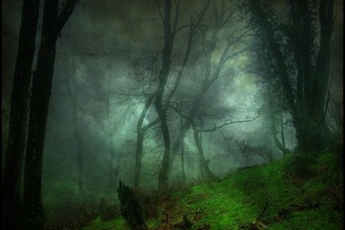 Tai nạn khủng khiếp biến du khách thành "ngọn đuốc sống"