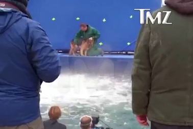 Phim làm về thú cưng bị nghi… ngược đãi động vật