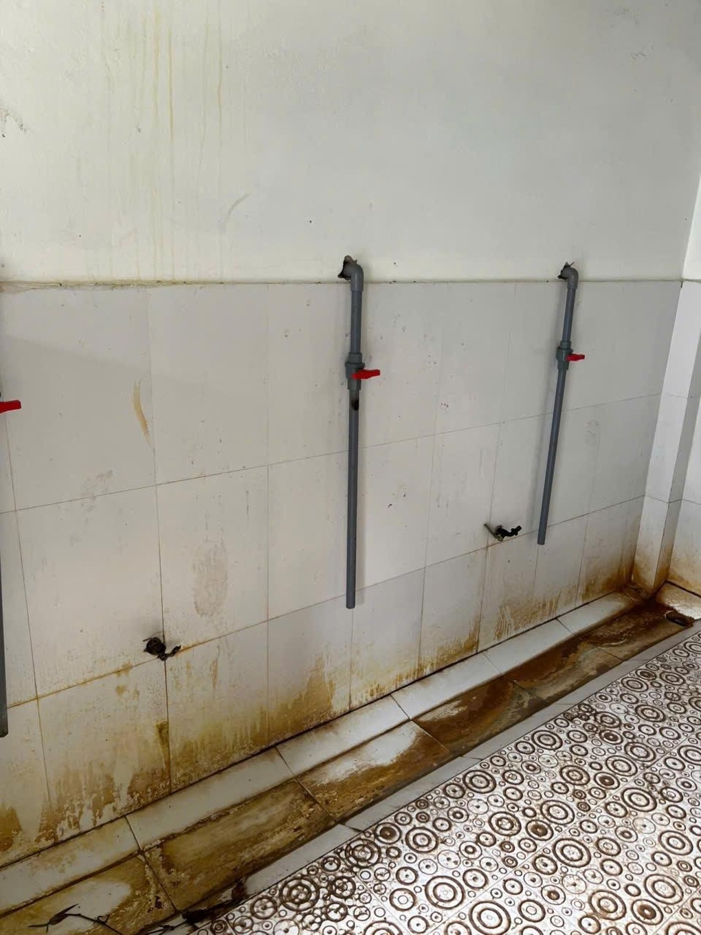 Opella Việt Nam trao môi trường học sạch đẹp cho 7.500 học sinh Quảng Trị - 1