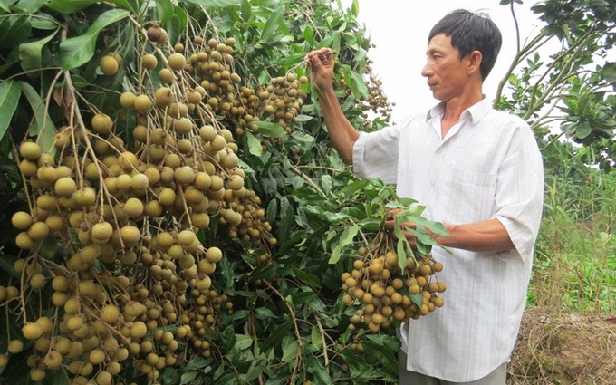 Lên phương án đưa nông sản phía Nam ra Bắc