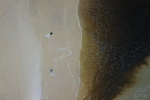 Nước biển Quảng Ngãi đổi màu như cà phê