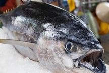 VASEP gửi công văn khẩn cho các bộ ngành sau phán quyết về hải sản của Mỹ