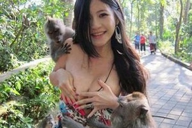 Nổi tiếng vì bị… khỉ “sàm sỡ”