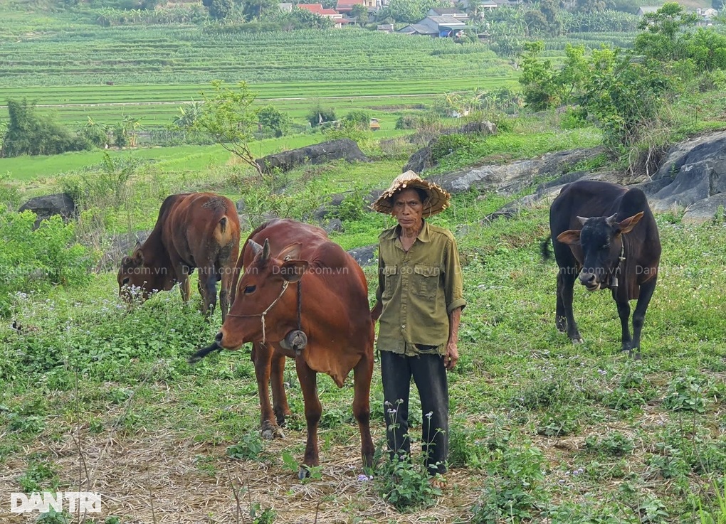 Thương cảnh cha mẹ già yếu nuôi con mù lòa, bệnh tật - 4 Thương cảnh cha mẹ già yếu nuôi con mù lòa, bệnh tật - 4