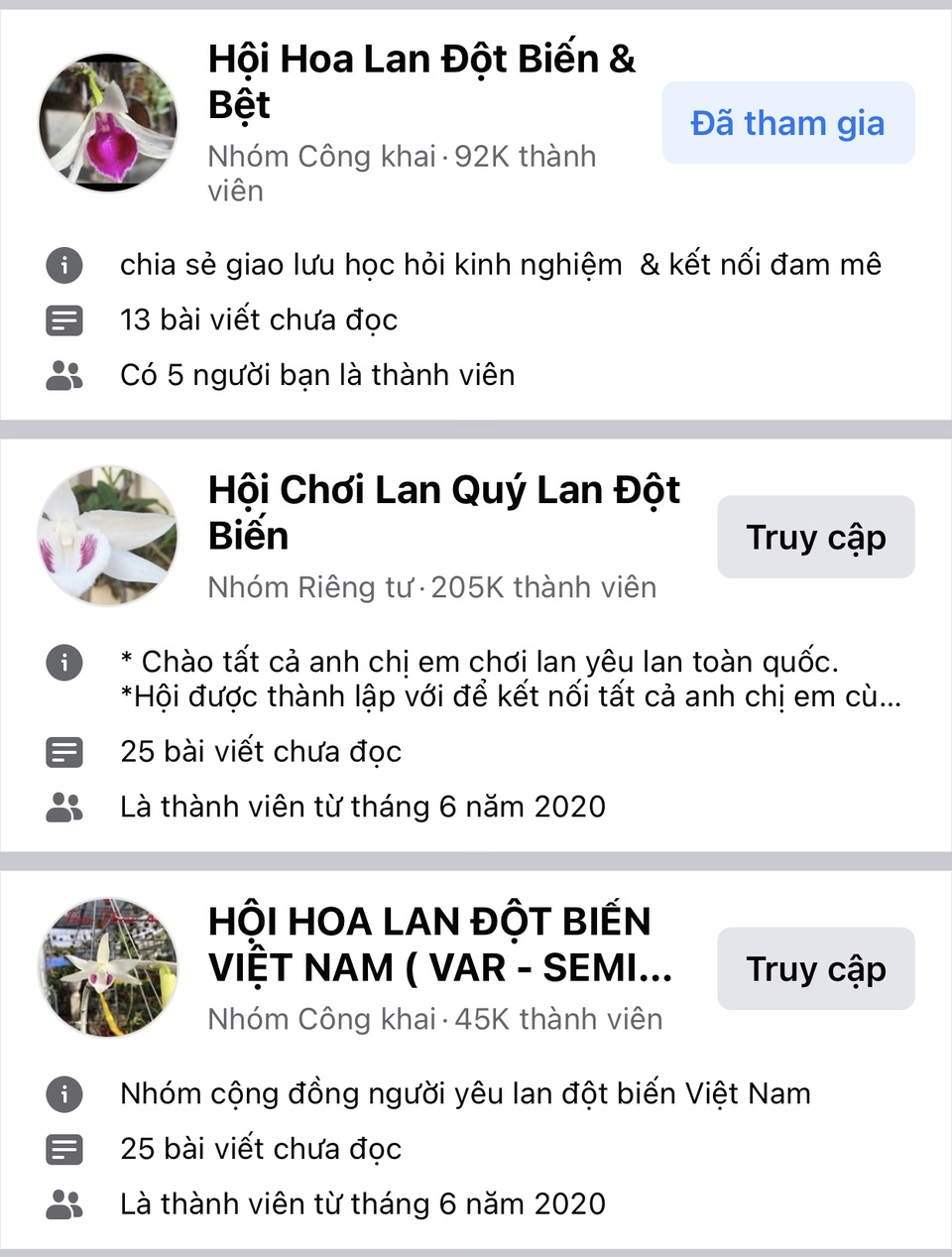 Những lời kêu cứu, khóc ròng của thượng đế về bông lan đột biến bạc tỷ - 1 Những lời kêu cứu, khóc ròng của thượng đế về bông lan đột biến bạc tỷ - 1
