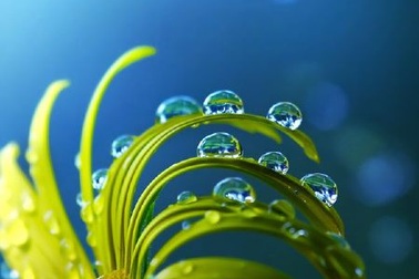 Tuyển chọn những bức ảnh Macro tuyệt đẹp