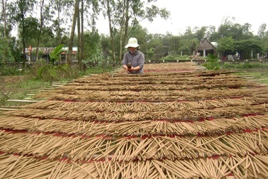 Quảng Nam: Làng nhang Quán Hương hối hả vào vụ Tết