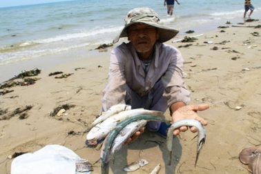 Formosa chuyển nốt 250 triệu USD bồi thường vụ cá chết vào ngày 28/8