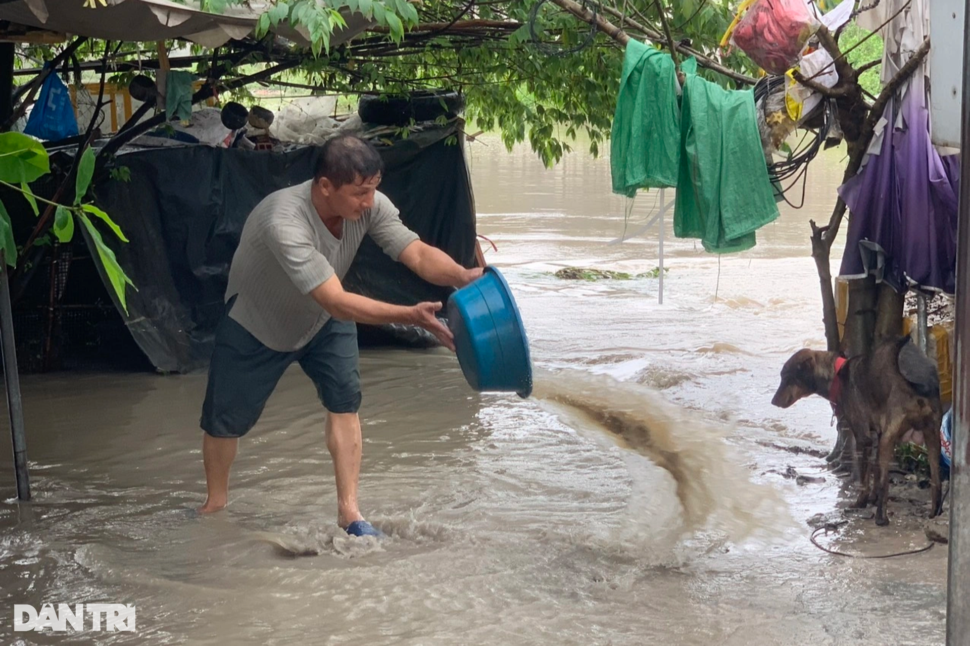 Đường biến thành sông, người dân tranh thủ thả lưới bắt cá - 6 Đường biến thành sông, người dân tranh thủ thả lưới bắt cá - 6