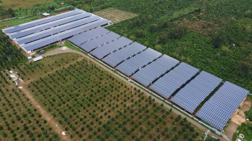 Hiệu quả từ mô hình liên kết chăn nuôi giữa Japfa và nông dân tại Đắk Lắk - 2 Hiệu quả từ mô hình liên kết chăn nuôi giữa Japfa và nông dân tại Đắk Lắk - 2