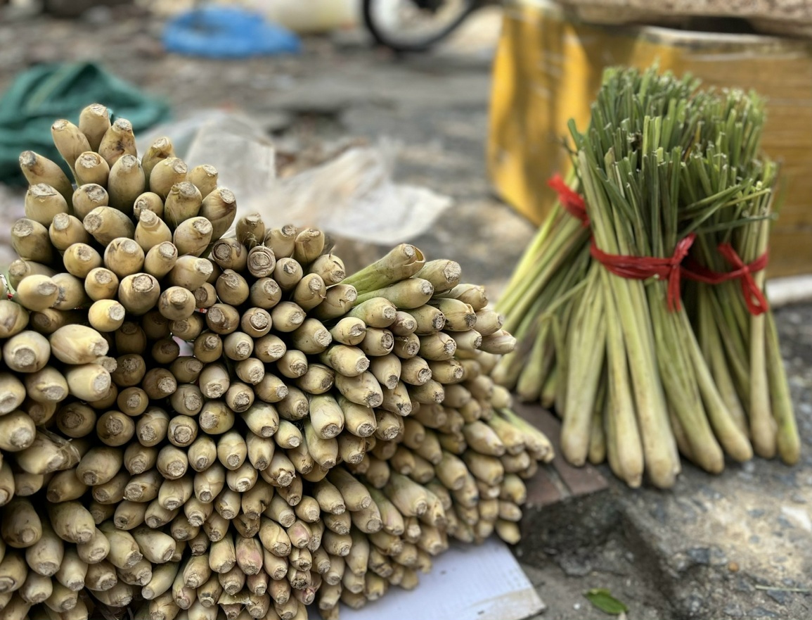 Giá gừng, sả, chanh loạn cào cào vì nhu cầu xông hơi chữa Covid-19 - 2 Giá gừng, sả, chanh loạn cào cào vì nhu cầu xông hơi chữa Covid-19 - 2