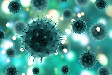 13 tuổi tạo ra công cụ nhằm cải thiện tỷ lệ sống ở bệnh nhân ung thư tuyến tụy