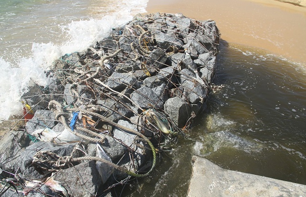 Doanh nghiệp nuôi tôm xả thải thẳng ra biển, cả vùng nước đổi màu đen - 1