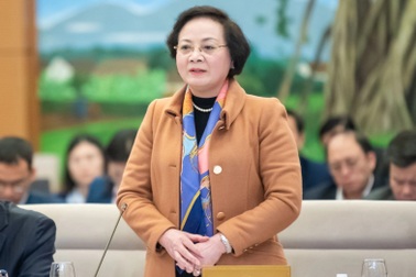 Chính phủ đề xuất bỏ HĐND ở các xã thuộc đô thị