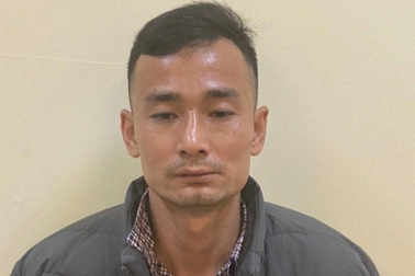 Bắt giữ đối tượng giết bà nội và cô ruột