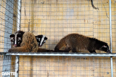 Tài xế bán xe khởi nghiệp nuôi con "ngày ngủ đêm thức", cái kết thu tiền tỷ