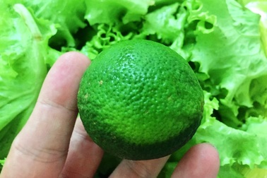 30 Tết: Giá chanh tươi tăng vọt lên 7.000 đồng/quả, đắt gấp 5 lần bình thường