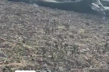 Hình ảnh nghi là xác máy bay Su-34 rơi ở Đông Ukraine