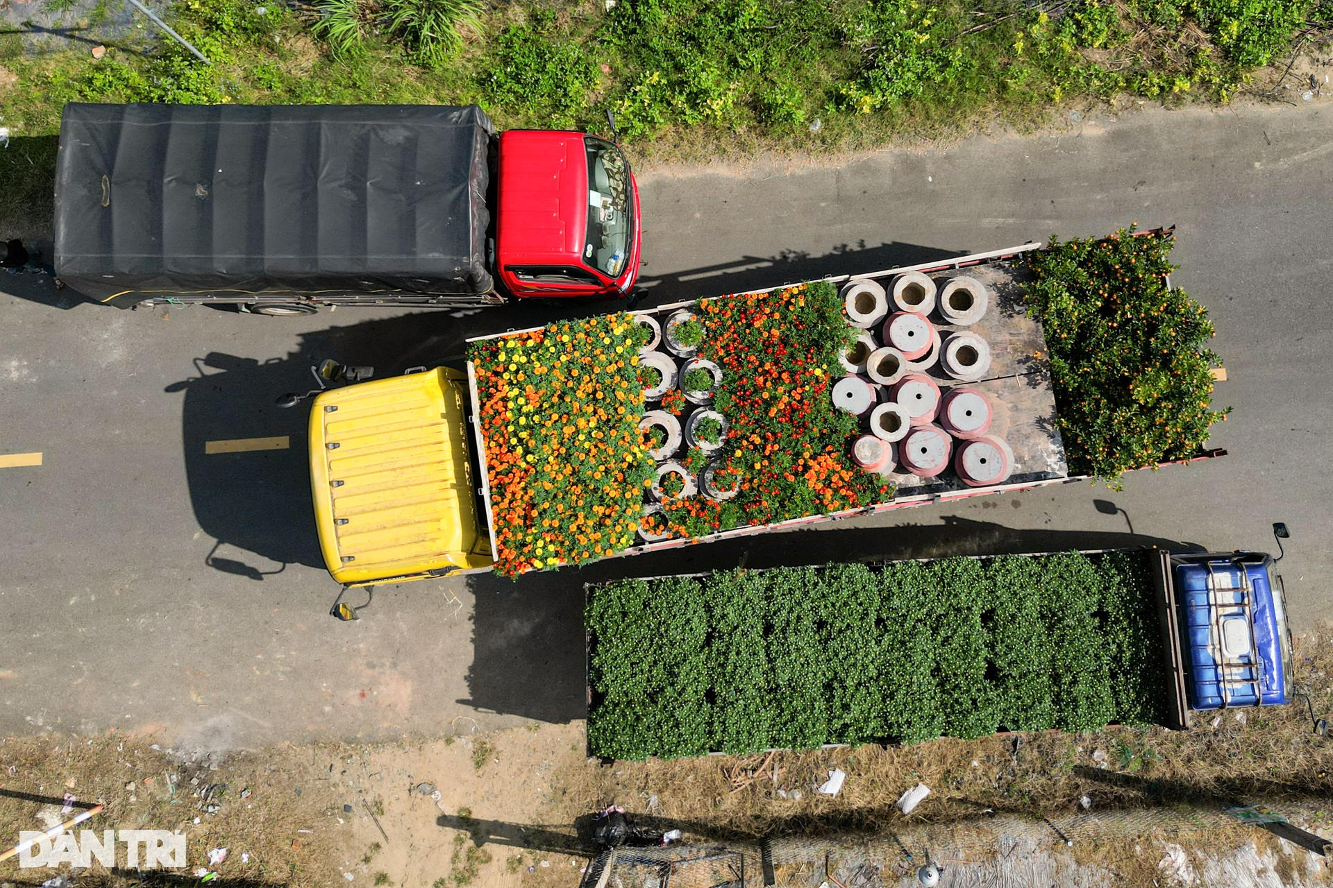Xe tải chạy mệt nghỉ đưa hoa từ làng lên phố - 7