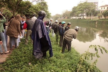 Cá chết trắng sông An Cựu
