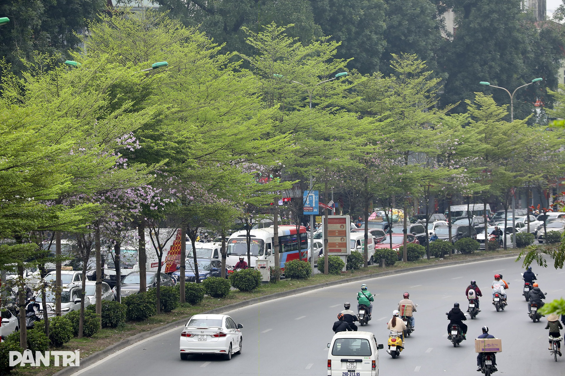 Xanh mát những cung đường mùa xuân trong lòng Hà Nội - 2 Xanh mát những cung đường mùa xuân trong lòng Hà Nội - 2