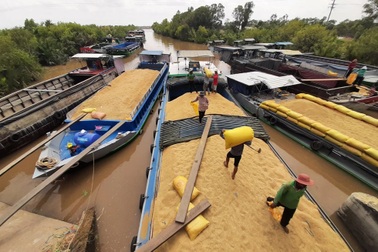Chủ tịch Sóc Trăng đề xuất các tỉnh Nam sông Hậu liên kết chống dịch