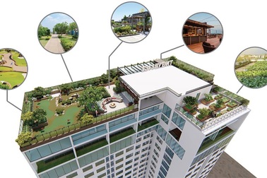 Bản hòa ca của khu vườn trên không đầu tiên tại Thái Nguyên