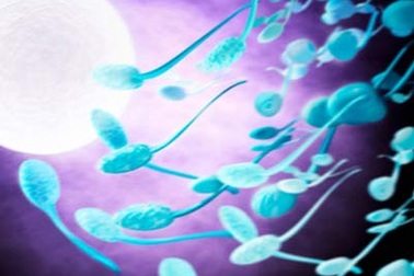 4 “thủ phạm” khiến quý ông vô sinh  