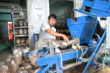 Ông chủ hợp tác xã "nghiện"... nấm