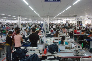 Công ty đường Quảng Ngãi thưởng Tết cao nhất 120 triệu đồng