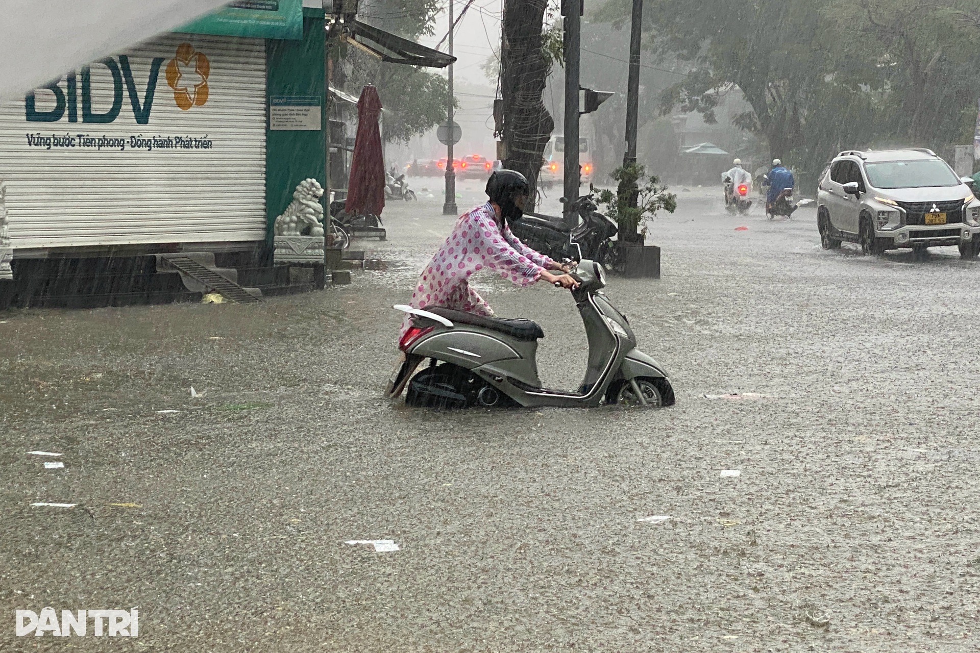 Nhiều nơi ở Huế lại chìm trong mưa lũ, rác thải bủa vây các khu phố - 5