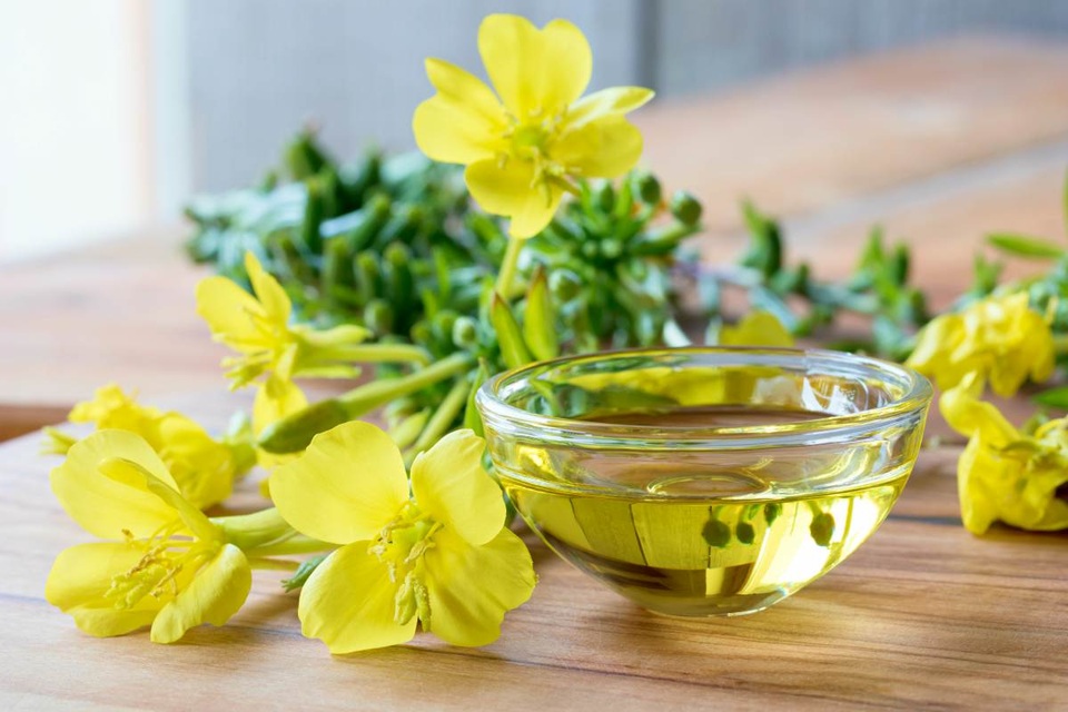 Công nghệ ép lạnh - Điều làm nên sự khác biệt của tinh dầu hoa anh thảo Careline - 2 Công nghệ ép lạnh - Điều làm nên sự khác biệt của tinh dầu hoa anh thảo Careline - 2