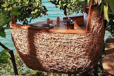 Trải nghiệm thú vị với nhà hàng tổ chim  