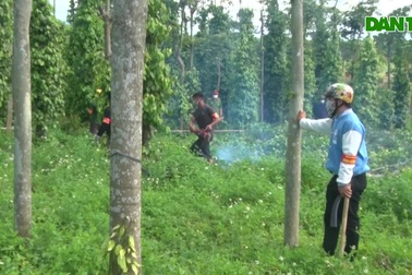 Phá dỡ tài sản trái phép trên đất dự án của vợ nguyên PGĐ Công an tỉnh