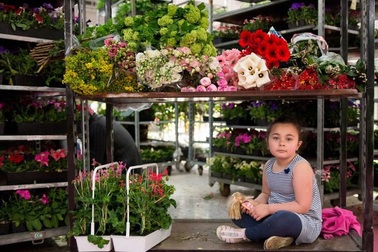 Đến thăm chợ hoa lớn nhất thủ đô Paris