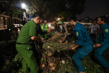 Đội tinh nhuệ từ các địa phương xuyên đêm dọn dẹp cây xanh hỗ trợ Hà Nội