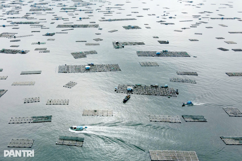 Làng “tỷ phú tôm hùm” hối hả trước bão Kalmaegi - 1 Làng “tỷ phú tôm hùm” hối hả trước bão Kalmaegi - 1