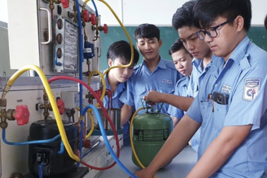 Dừng dạy văn hóa trong trường nghề: Bộ Giáo dục có thực hiện đúng luật?