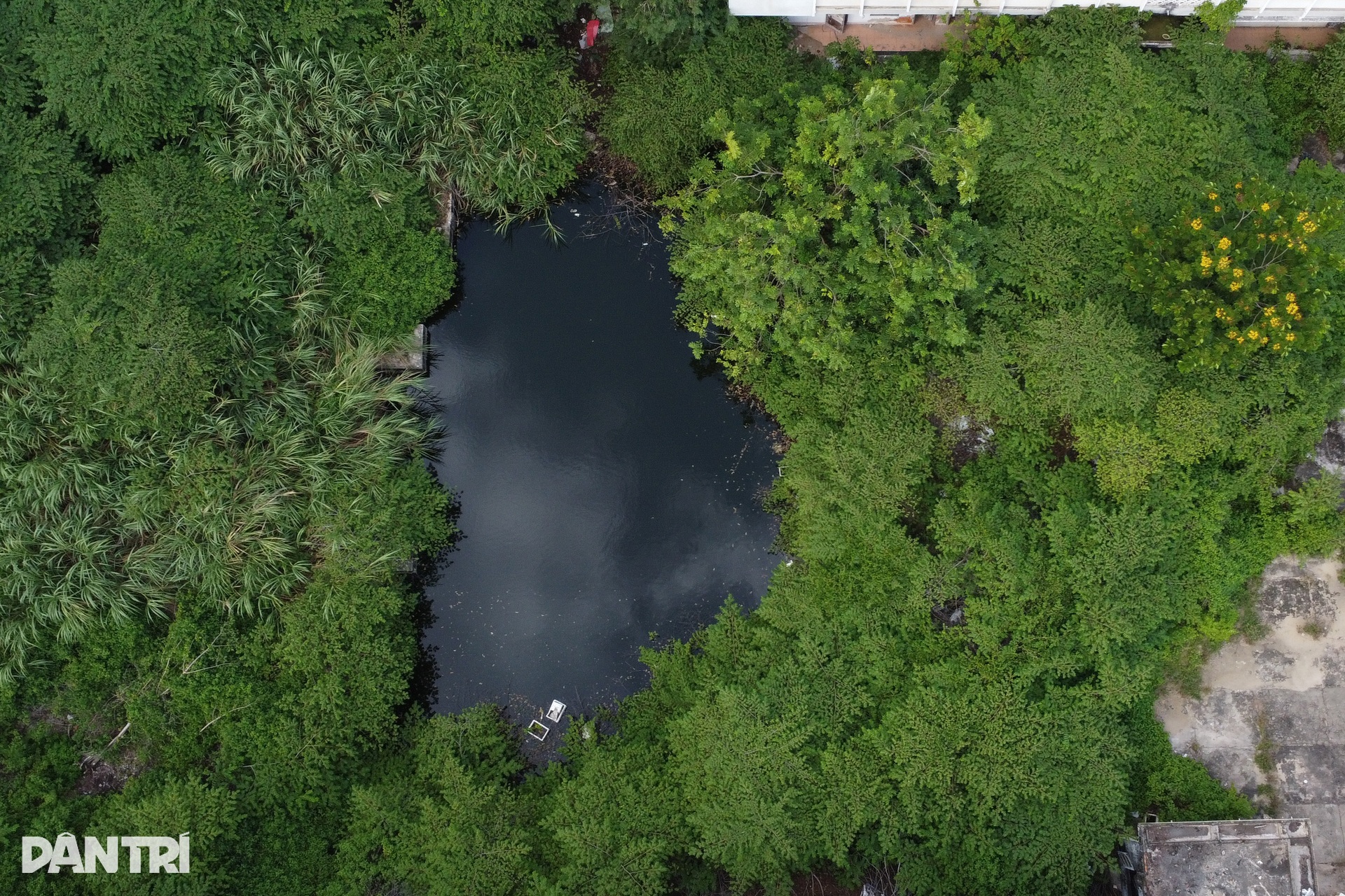 Khu đất kim cương bỏ hoang hơn 20 năm ở Nha Trang sắp được đấu giá - 6 Khu đất kim cương bỏ hoang hơn 20 năm ở Nha Trang sắp được đấu giá - 6