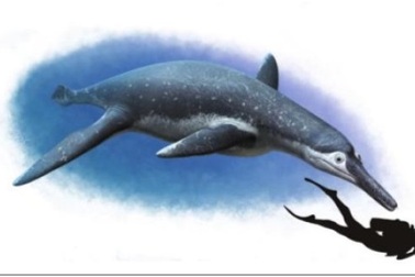 Phát hiện hóa thạch loài bò sát biển mới ở Nga