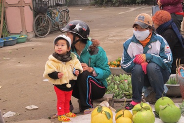 Theo bố mẹ đi chợ Tết