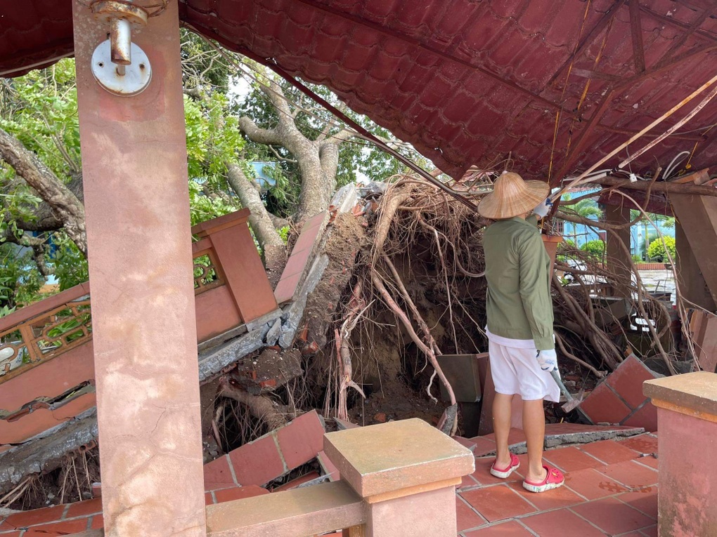 Nhiều đô thị ngập nặng sau bão, hàng trăm cây xanh gãy đổ - 2 Nhiều đô thị ngập nặng sau bão, hàng trăm cây xanh gãy đổ - 2