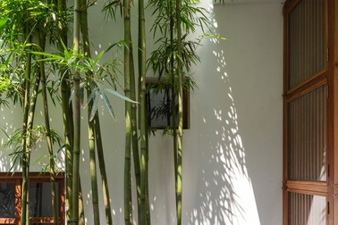 Nhà hướng Tây vẫn 'mát lịm' đáng sống nhờ tuyệt chiêu này