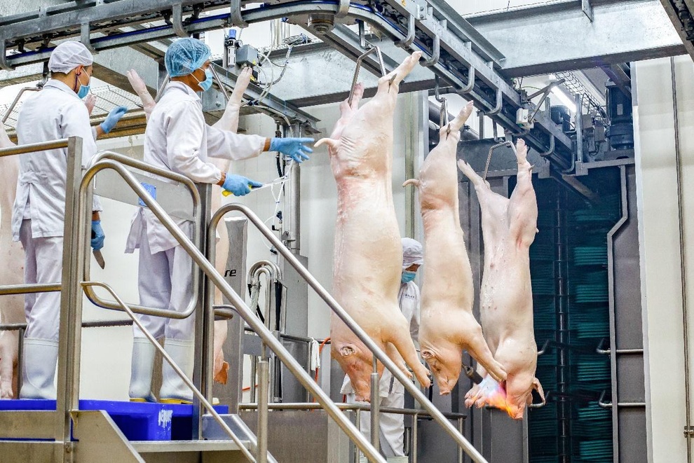 Thịt ủ mát theo tiêu chuẩn châu Âu chinh phục người tiêu dùng Việt - 4