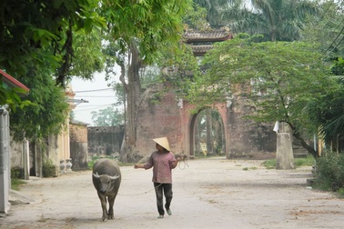 Chiều thu bình yên trên làng cổ Ước Lễ